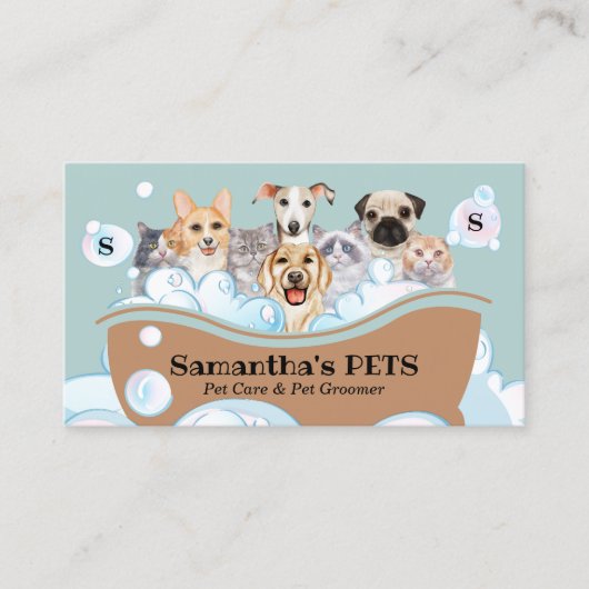 Carte De Visite Chiens Chats Spa Sitter Groomer animal de compagni (Devant)