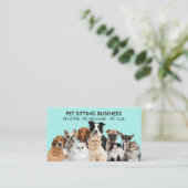 Carte De Visite Chiens de compagnie turquoises (Debout devant)