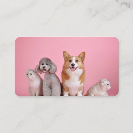 Carte De Visite Chiens et chats (Devant)
