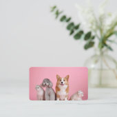 Carte De Visite Chiens et chats (Debout devant)