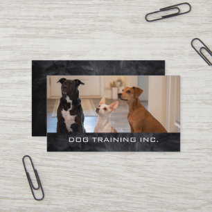 Carte De Visite Chiens obéissants assis à la maison Dresseur de