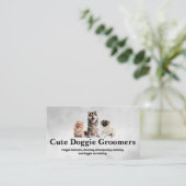 Carte De Visite Chiens sympa assis (Debout devant)