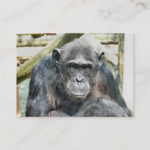 CARTE DE VISITE CHIMPANZEE CUTE