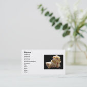 Carte de visite chinois du dragon (Debout devant)