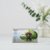 Carte De Visite Chiot Brown Dachshund (Debout devant)