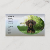 Carte De Visite Chiot Brown Dachshund (Devant)