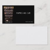 Carte De Visite Chiot de Corso de canne de photographie (Devant / Derrière)