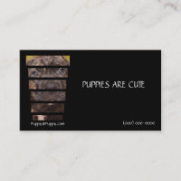 Chiot de Corso de canne de photographie