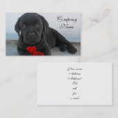 Carte De Visite Chiot de Labrador de Valentine (Devant / Derrière)