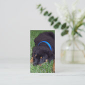 Carte De Visite chiot de rottweiler (Debout devant)