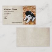 Carte De Visite Chiot de springer spaniel (Devant / Derrière)