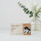 Carte De Visite Chiot de springer spaniel (Debout devant)