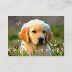 Carte De Visite Chiot d'or d'Austin Labrador