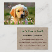 Carte De Visite Chiot d'or d'Austin Labrador (Devant / Derrière)