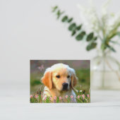 Carte De Visite Chiot d'or d'Austin Labrador (Debout devant)