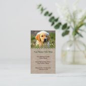 Carte De Visite Chiot d'or d'Austin Labrador (Debout devant)