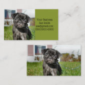 Carte De Visite Chiot en carlin noir (Devant / Derrière)