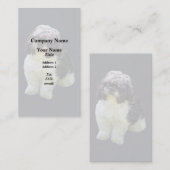 Carte De Visite Chiot Shih Tzu Adorable (Devant / Derrière)