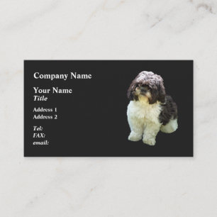 Carte De Visite Chiots Shih Tzu Adorables