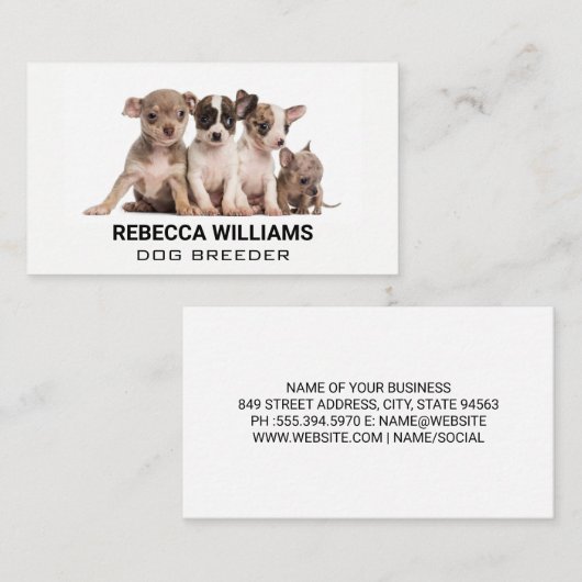 Carte De Visite Chipies dans un groupe (Devant / Derrière)