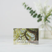 Carte De Visite Chirurgien de Willow Tree du Royaume-Uni Euro Cart (Debout devant)