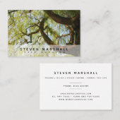 Carte De Visite Chirurgien de Willow Tree du Royaume-Uni Euro Cart (Devant / Derrière)