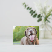 Carte De Visite Chocolate Labrador Dog (Debout devant)