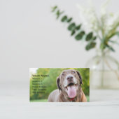 Carte De Visite Chocolate Labrador Dog (Debout devant)