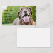 Carte De Visite Chocolate Labrador Dog (Devant / Derrière)