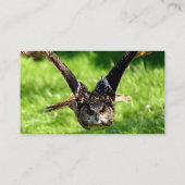 Carte De Visite Chouette d'aigle sauvage en plein vol (Dos)