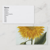 Carte De Visite Chrysanthème Indicum de 'Pythanthoza Iconograph (Devant / Derrière)