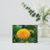 Carte De Visite Chrysanthème orange (Debout devant)