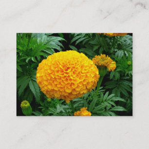 Carte De Visite Chrysanthème orange