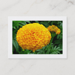 Carte De Visite Chrysanthème orange