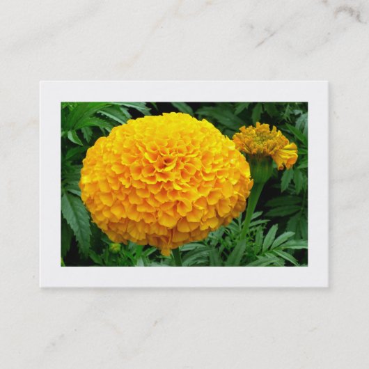 Carte De Visite Chrysanthème orange (Devant)