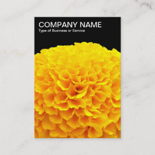 Carte De Visite Chrysanthème orange - Noir