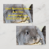 Carte De Visite Chubby Cheeks (Devant / Derrière)