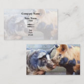 Carte De Visite Chuchoteur de cochons (Devant / Derrière)