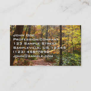 Carte De Visite Chute Sunlit dans le parc national de Laurel Hill