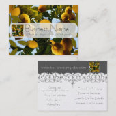 Carte De Visite Citronnier (Devant / Derrière)