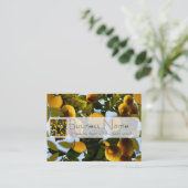 Carte De Visite Citronnier (Debout devant)