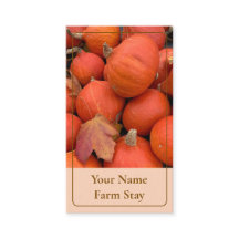 Citrouille orange rustique