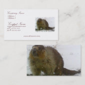 Carte de visite classique de castor (Devant / Derrière)