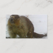 Carte de visite classique de castor (Dos)