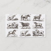 Carte De Visite Classique Unicorne Antique Mythique Magie Créature (Dos)