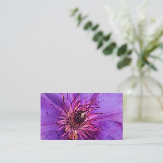 CARTE DE VISITE CLEMATIS (Debout devant)