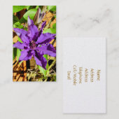 CARTE DE VISITE CLEMATIS (Devant / Derrière)