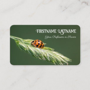Carte De Visite Clients chanceux avec la chance coccinelle vie pos