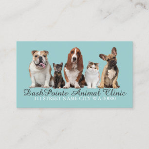 Carte De Visite Clinique Animale Animale Animale Abri Vétérinair
