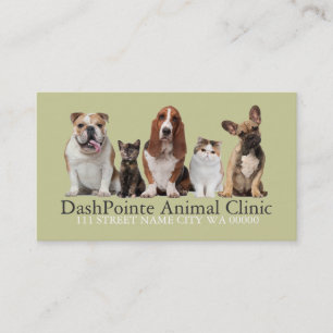 Carte De Visite Clinique Animale Animale Animale Abri vétérinaire